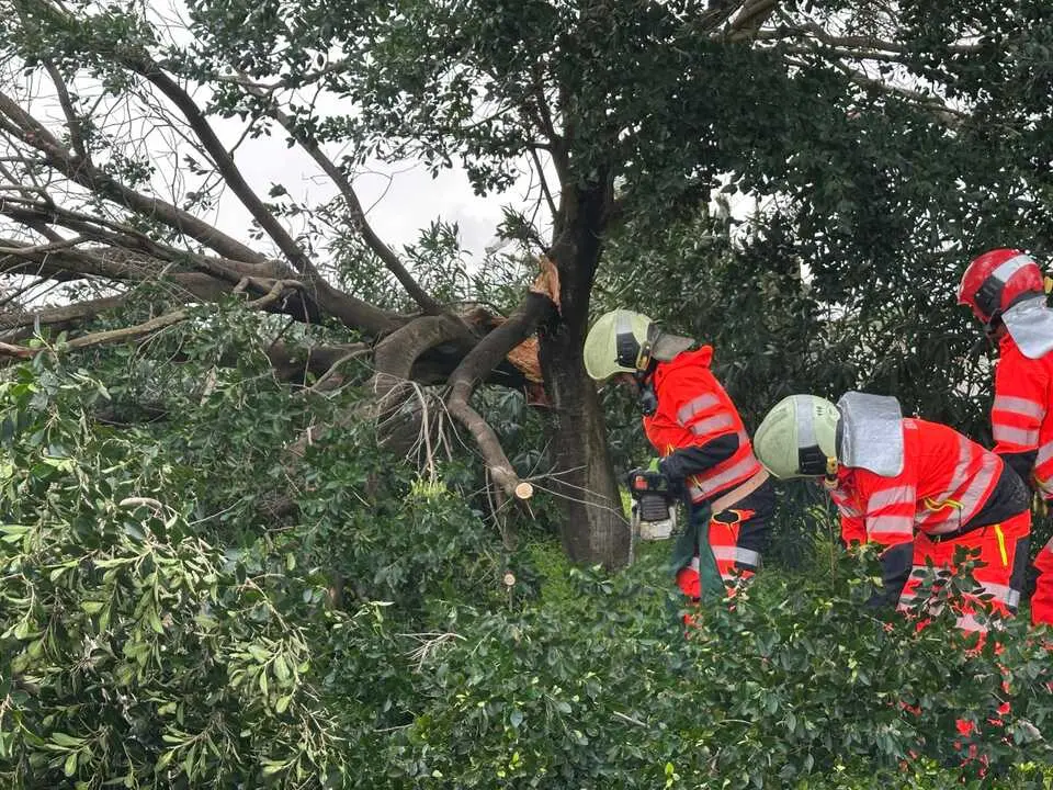 Efectos de la borrasca Leonardo este jueves (11)