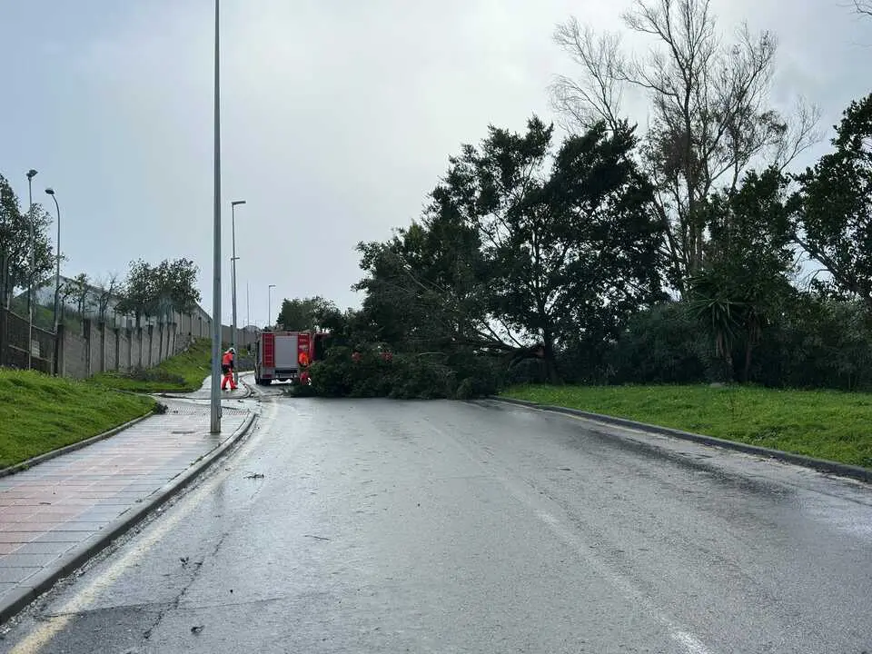 Efectos de la borrasca Leonardo este jueves (15)