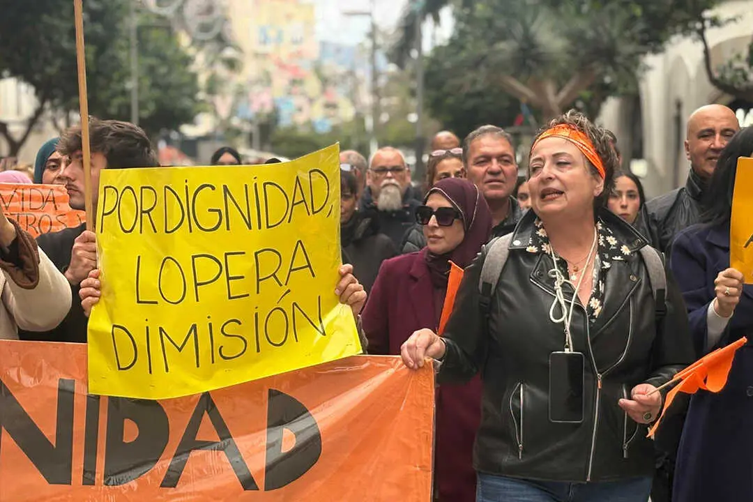Manifestaci&oacute;n por la Sanidad / Alma Palomino