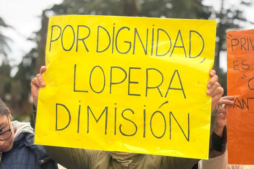 Manifestaci&oacute;n por la Sanidad / Alma Palomino