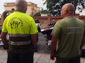 Miembros de las Brigadas Verdes / Archivo