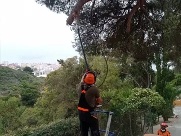 Trabajadores de OBIMASA / Archivo