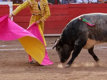 Corrida de toros / archivo