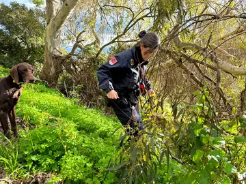 Agentes de la Polic&iacute;a Nacional durante la b&uacute;squeda este jueves