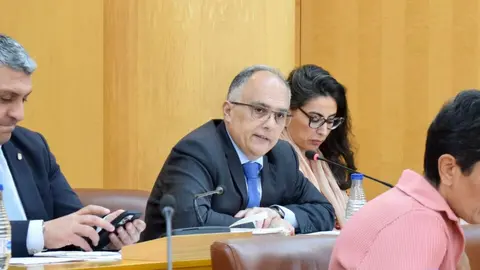  Alberto Gait&aacute;n, durante el transcurso de una sesi&oacute;n plenaria / Alejandro Castillo 