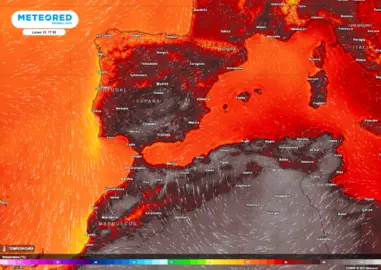 METEORED
