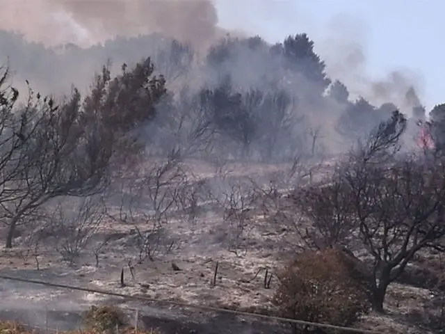 Consecuencias de un incendio / Archivo