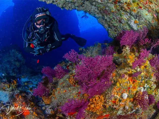 Paisajes submarinos / Archivo