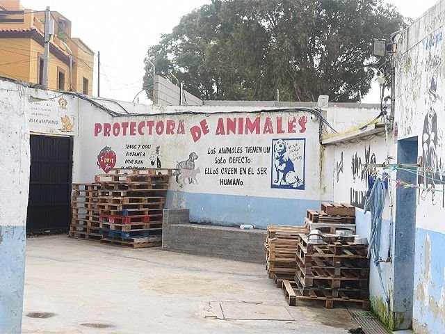 Protectora de animales / Archivo
