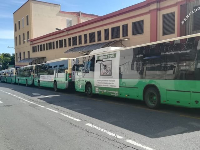Autobuses estacionados en la parada del Mercado Central / Archivo