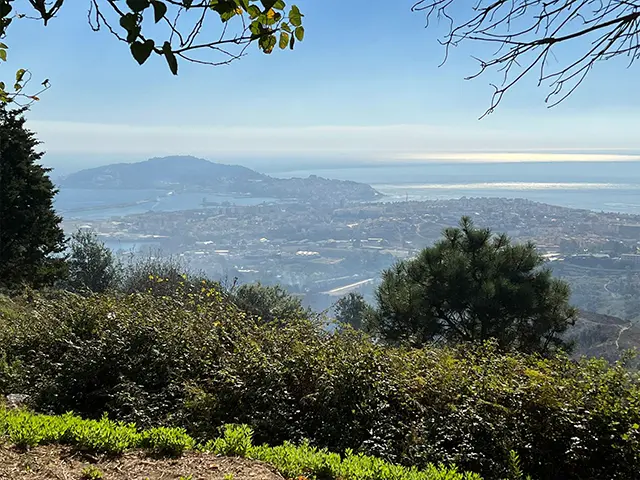 Montes de Ceuta tras un incendio