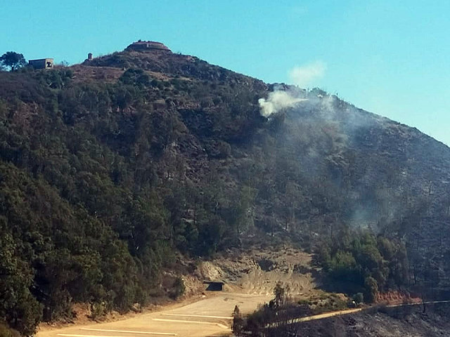 Monte de la Tortuga tras el incendio / Juanjo Coronado