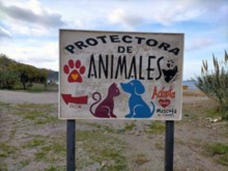 Letrero de la Protectora de Animales / Archivo