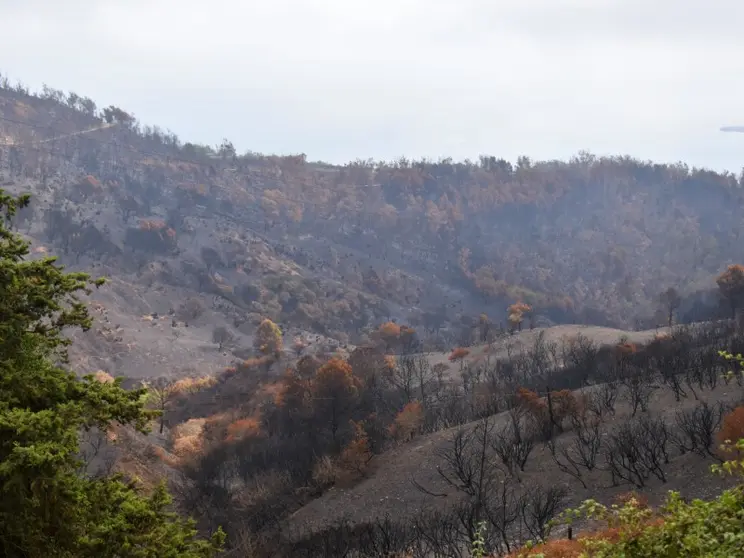Garc&iacute;a Aldave tras uno de los &uacute;ltimos incendios / Archivo