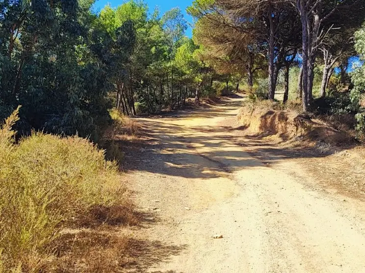 Garc&iacute;a Aldave / Archivo