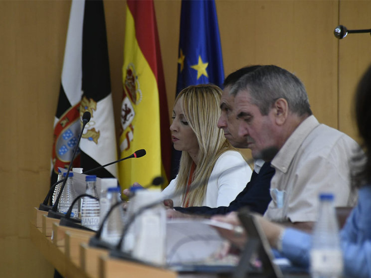 Diputados del PSOE en el Pleno
