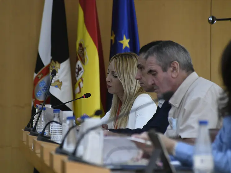 Diputados del PSOE en el Pleno