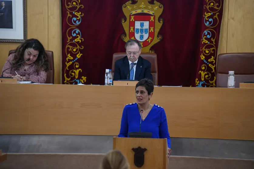 La consejera de Hacienda durante su intervenci&oacute;n en el pleno de este mi&eacute;rcoles / Javier Sakona