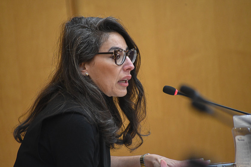  Dunia Mohamed, durante el transcurso de una sesión plenaria 