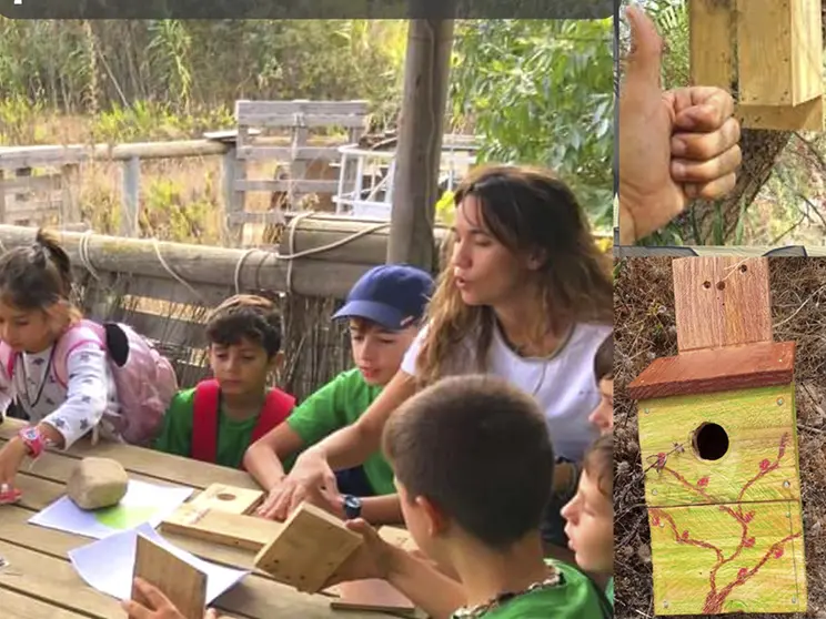 Construcci&oacute;n de Cajas Nido