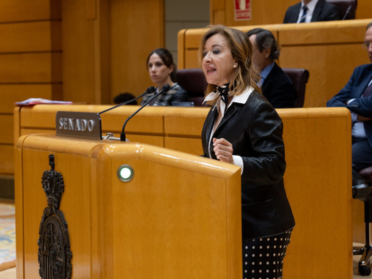 Yolanda Merelo, durante su intervención ante el Senado / VOX