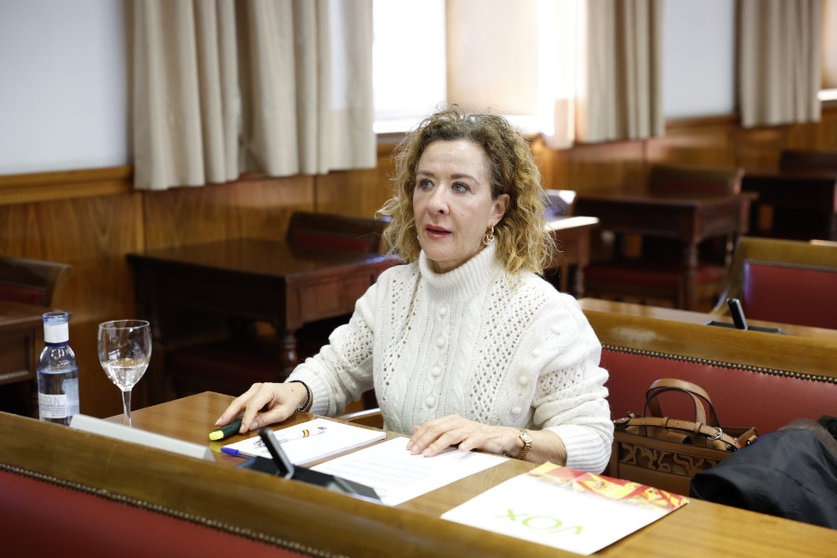 La senadora por Ceuta, durante la comparecencia de hoy en el Senado/ Foto: VOX
