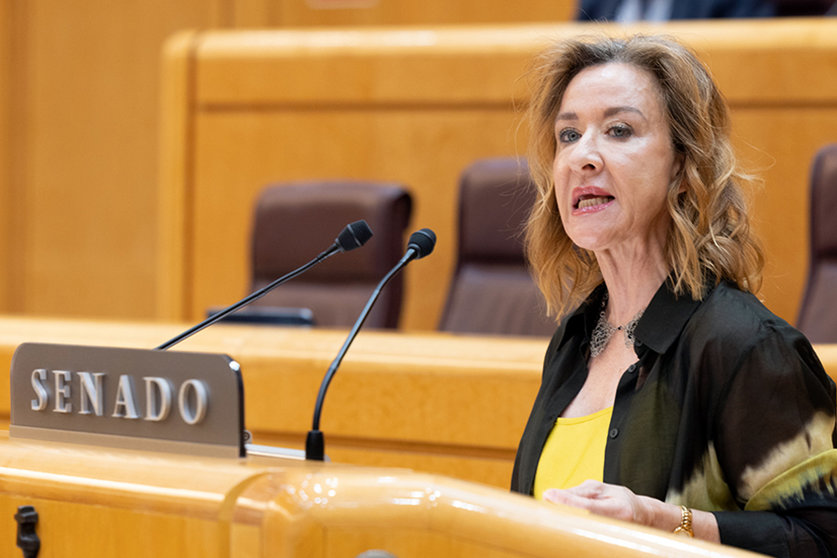 La senadora por Ceuta, Yolanda Merelo