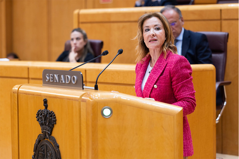 La senadora de Vox por Ceuta, durante una intervención
