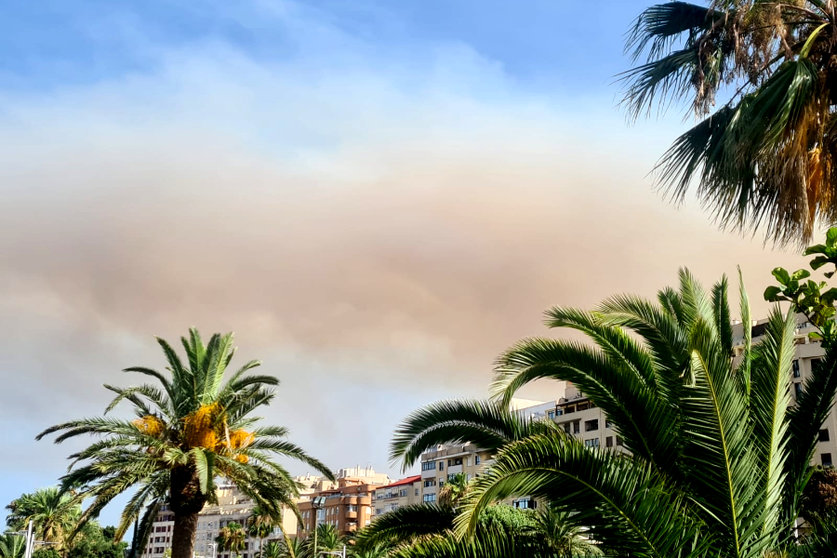 La espectacular columna de humo sobre la zona del Sardinero / Rafa Báez