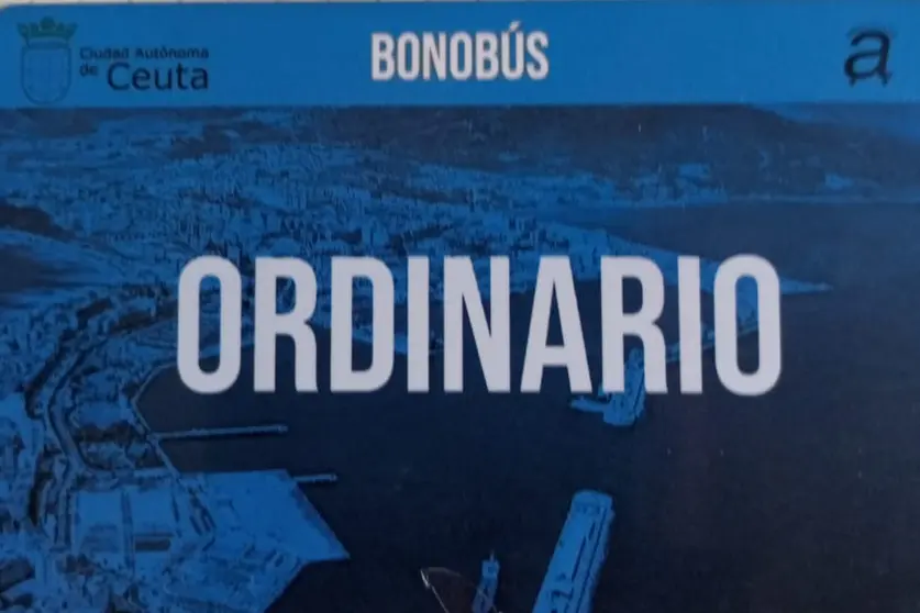 Imagen de un bonob&uacute;s/ Juanjo Coronado