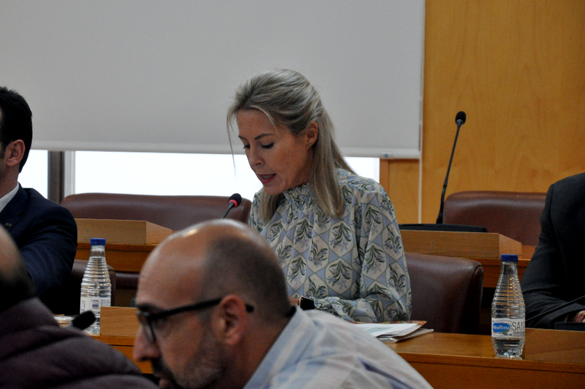Teresa L&oacute;pez, durante su intervenci&ograve;n en un pleno/ Archivo