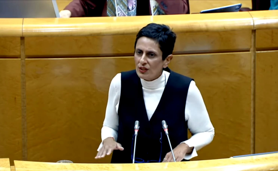 Kissy Chandiramani ante el Senado en la tarde de este martes