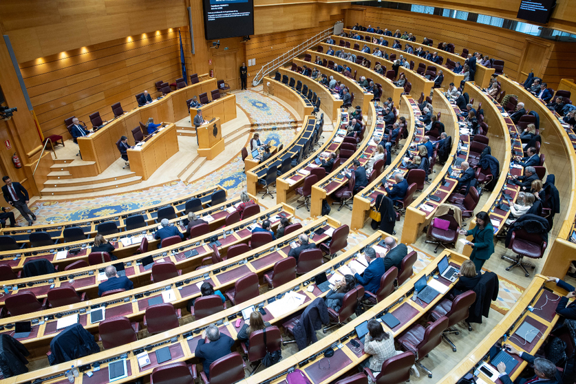Sesi&oacute;n en el Senado / Archivo
