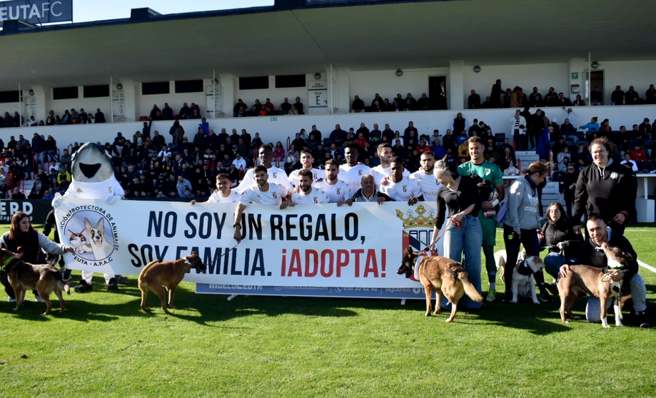 La Protectora de Animales toma el Murube y pide ayuda en las adopciones /Archivo