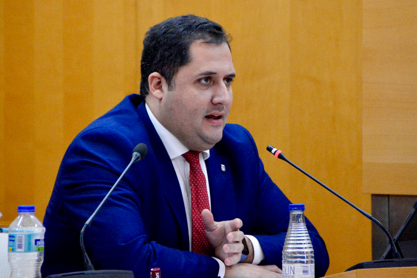 Alejandro Ram&iacute;rez, consejero de Fomento, durante una de sus intervenciones plenarias / Alejandro Castillo
