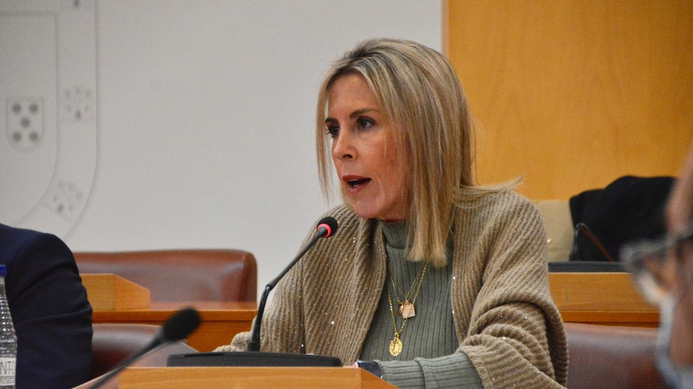 Teresa López, durante su intervención en una sesión plenaria / Archivo