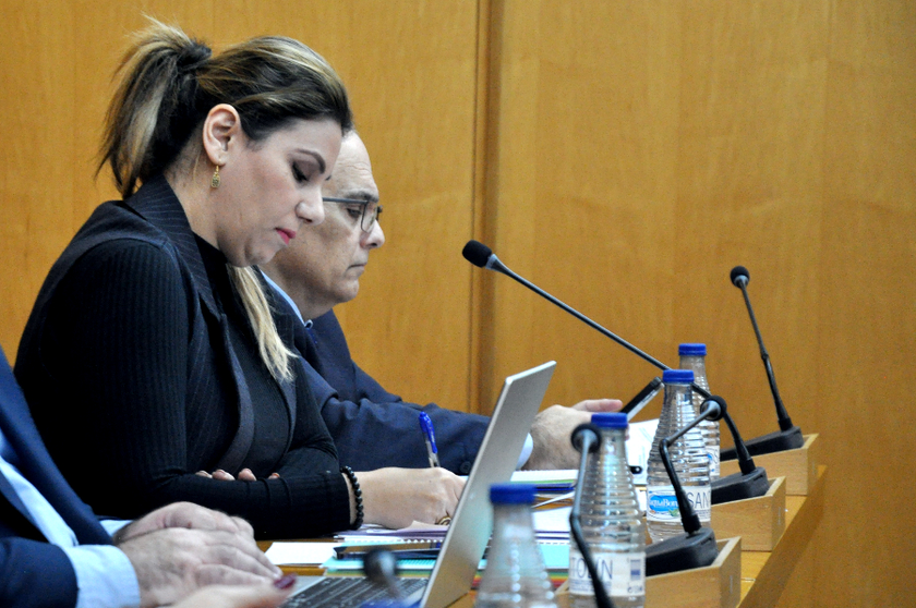 La consejera de Asuntos Sociales durante su intervenci&oacute;n de este lunes ante el pleno / Pablo Mat&eacute;s
