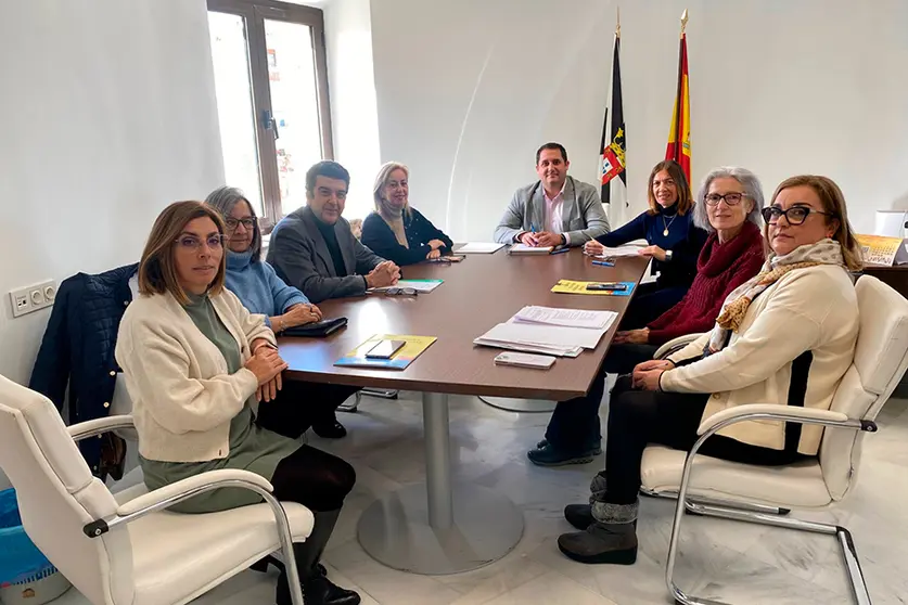 COMISI&Oacute;N DE ACCESIBILIDAD