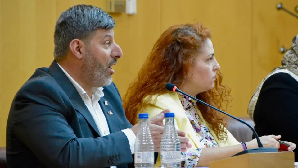 Mohamed Mustafa y Julia Ferreras, durante el transcurso de una sesi&oacute;n plenaria / Archivo