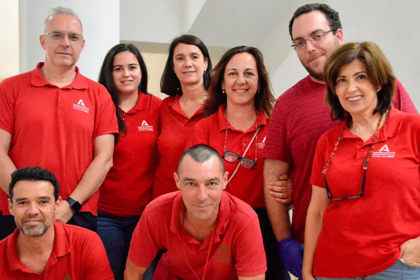 Donaci&oacute;n de Sangre