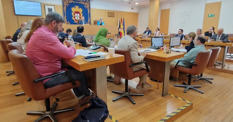 Sesi&oacute;n plenaria / Archivo