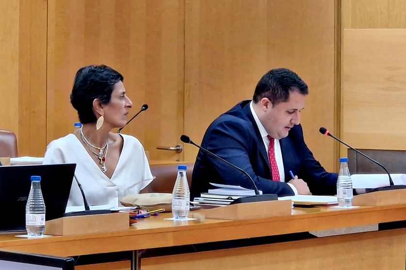El consejero de Fomento durante una de sus intervenciones de este viernes / Laura Ortiz