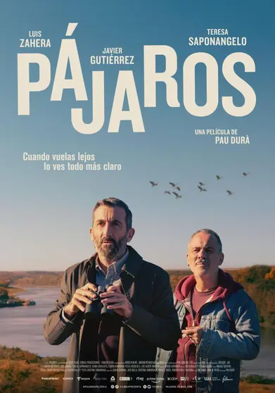 pajaros-640647961-large