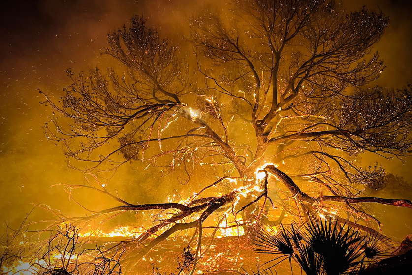 Incendio en los montes de Ceuta