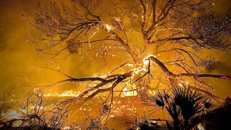  Incendio en Garc&iacute;a-Aldave. 