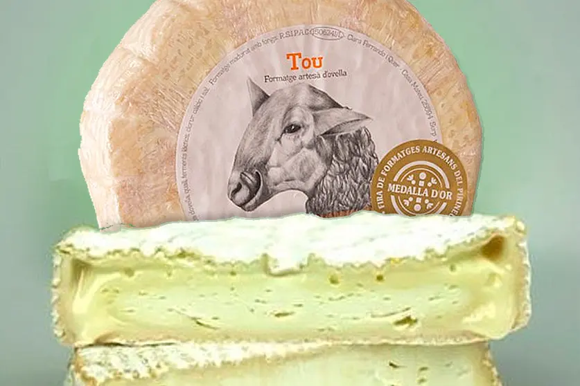 queso salmonelosis