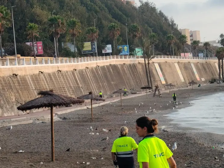 Limpieza de El Chorrillo