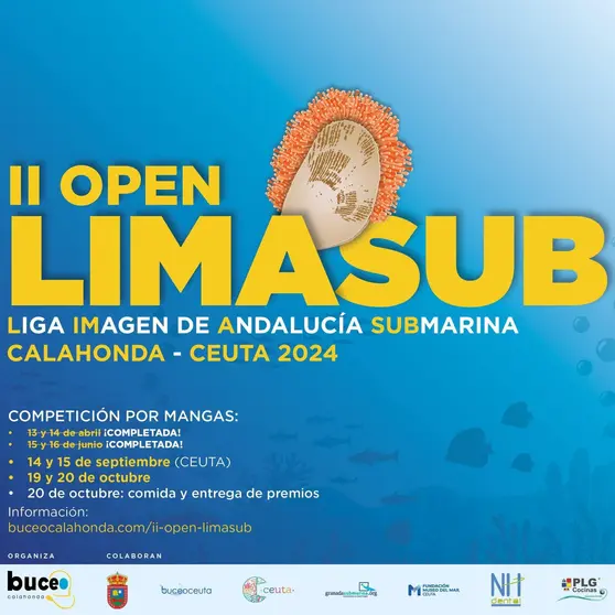 Cartel anunciador del evento