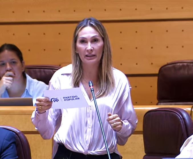 Cristina D&iacute;az, durante su intervenci&oacute;n  en el Senado