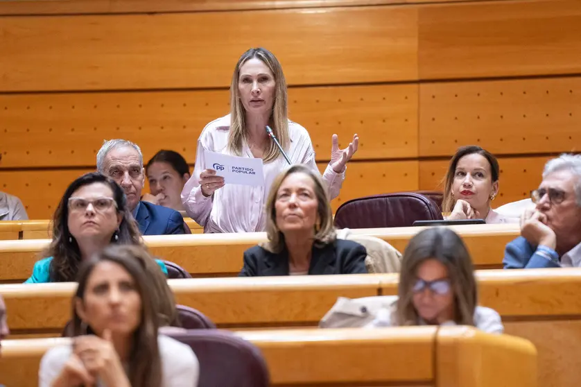 Cristina D&iacute;az, en el Senado / PP